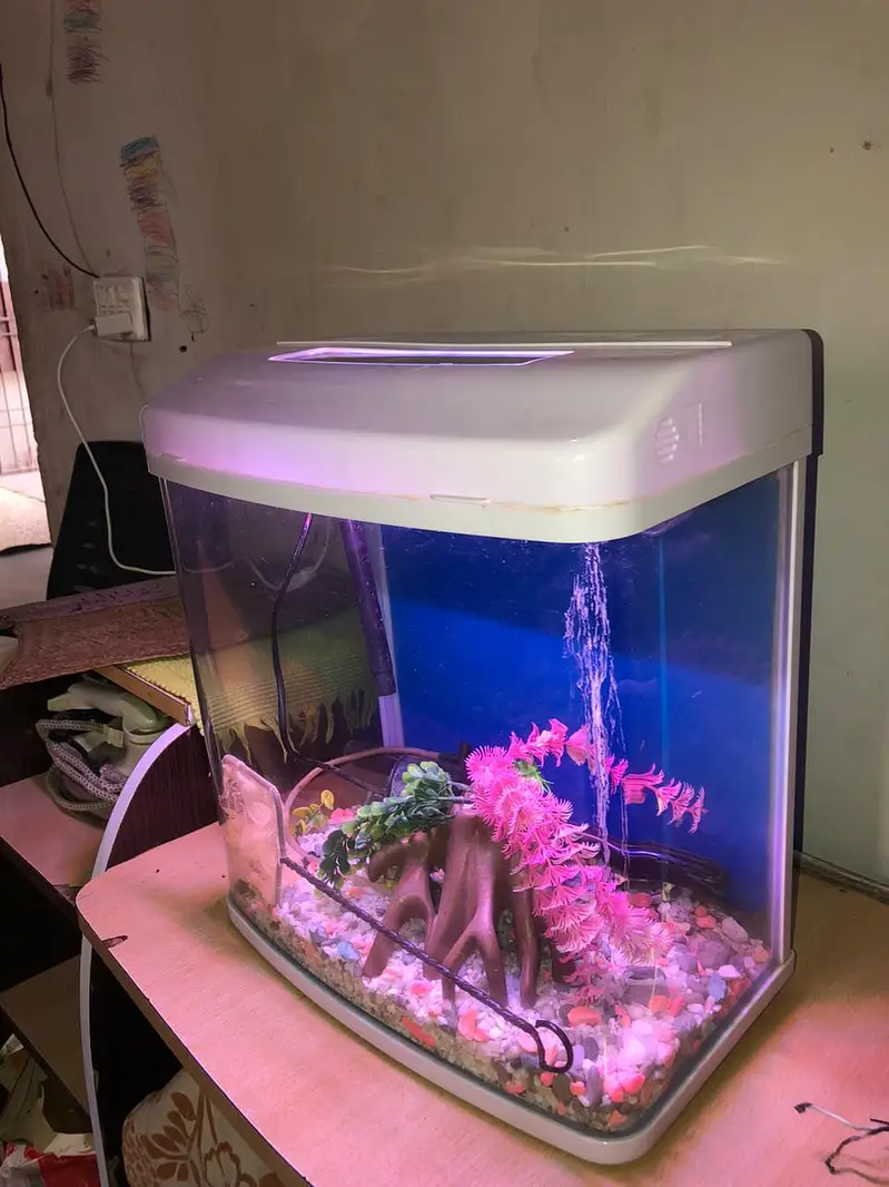 MinJiang HR3 380 Curved Glass Aquarium Set with LED & Filter — photo 6