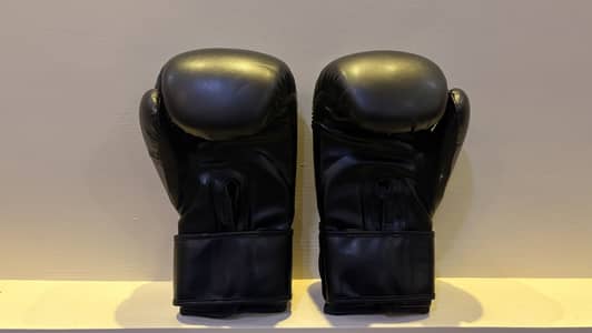Leather Boxing Gloves & Shin pads