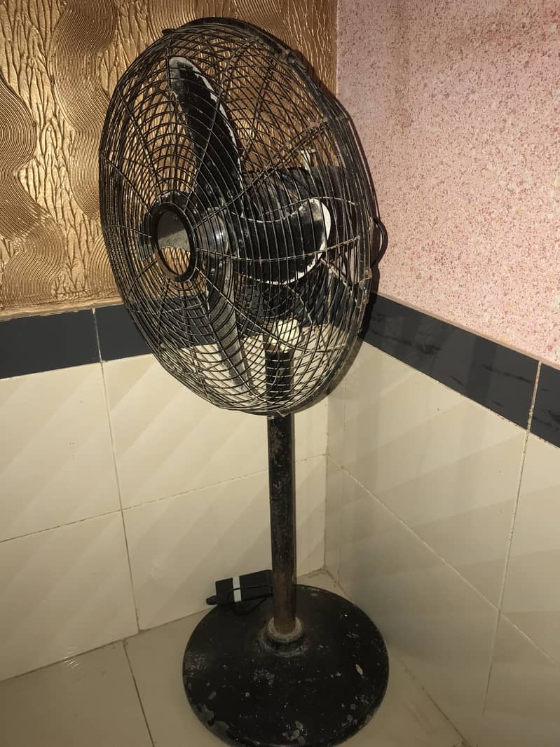 D. C. Fan 1