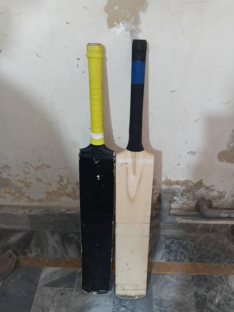 Two Bats 1