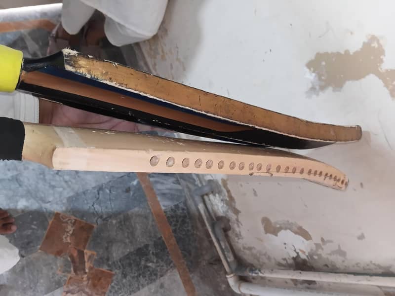Two Bats 2