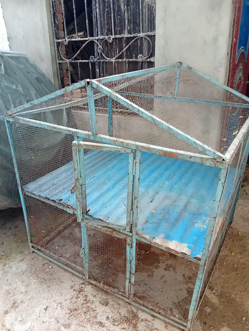 Cage for Sale. — photo 2