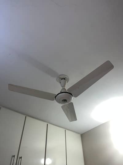 Ceiling Fan for Sale Ceiling Fan for Sale – Excellent Condition