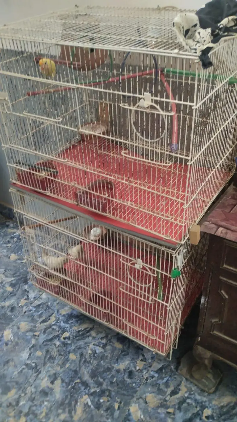 cage for sale — photo 2