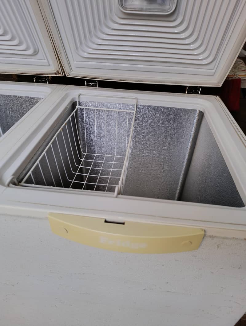 Waves double door deep freezer 2