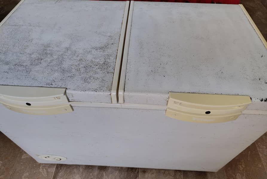 Waves double door deep freezer 6