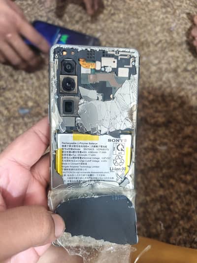 sony xperia 5