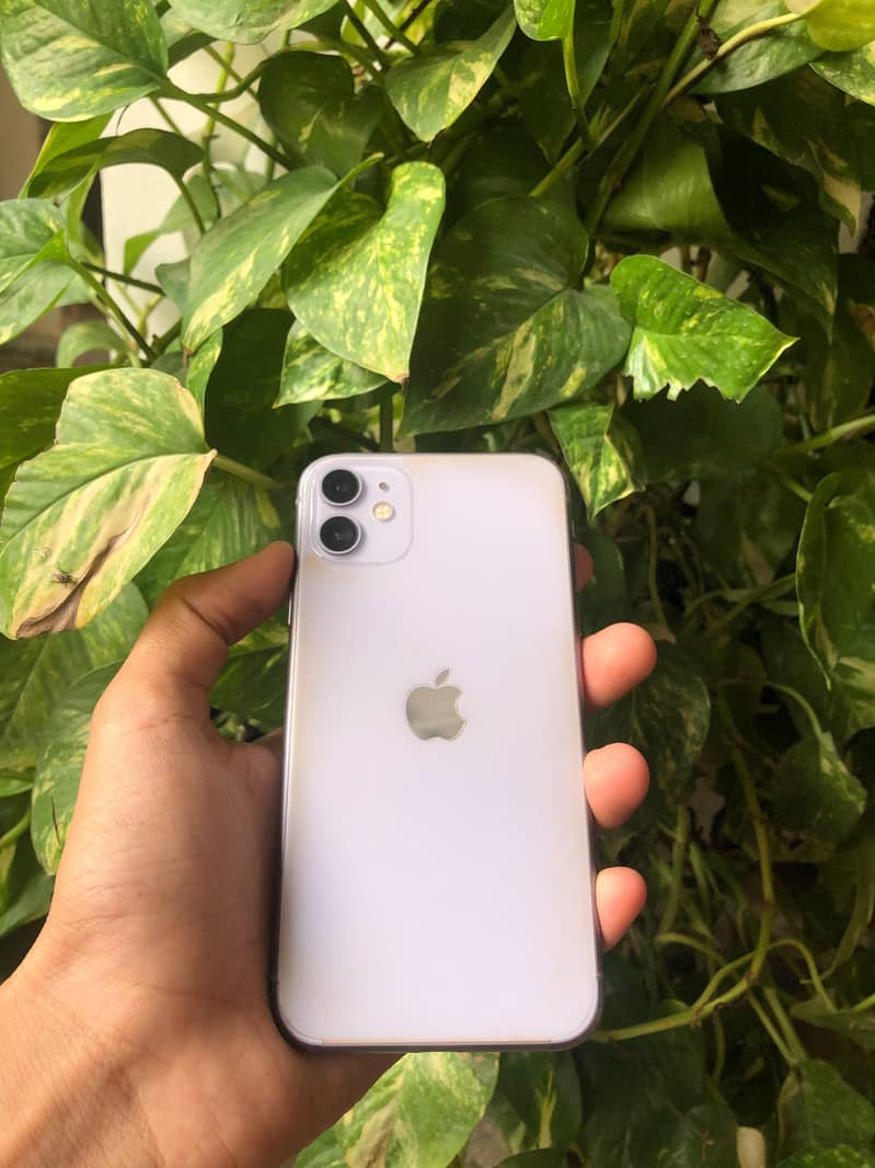 Apple iPhone 11 0