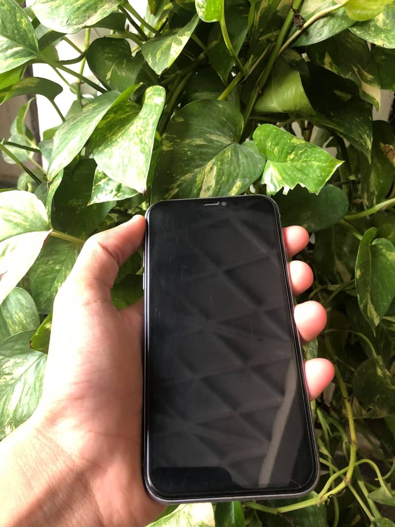 Apple iPhone 11 1