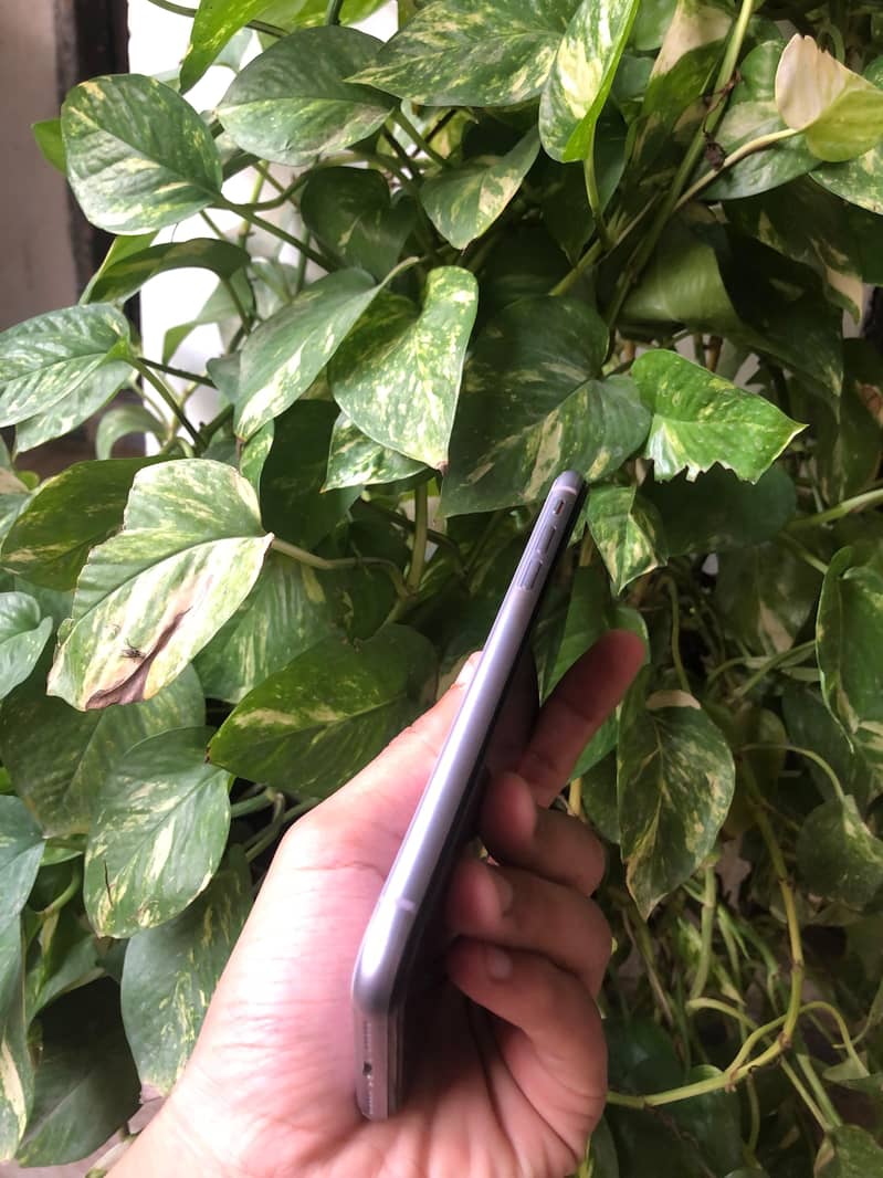 Apple iPhone 11 2