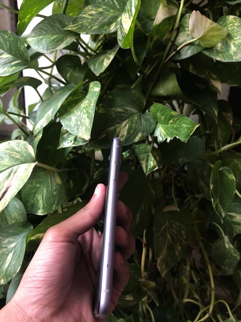 Apple iPhone 11 3