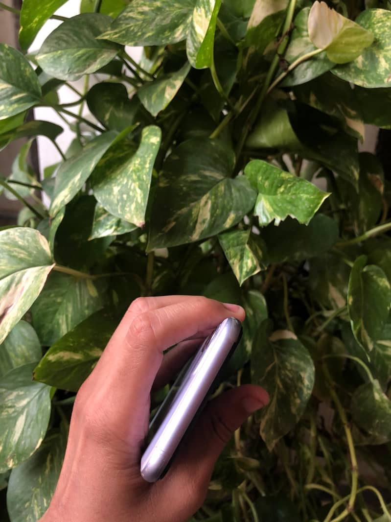 Apple iPhone 11 4