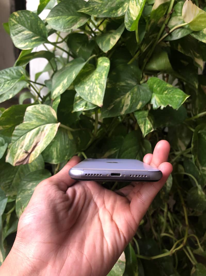 Apple iPhone 11 5