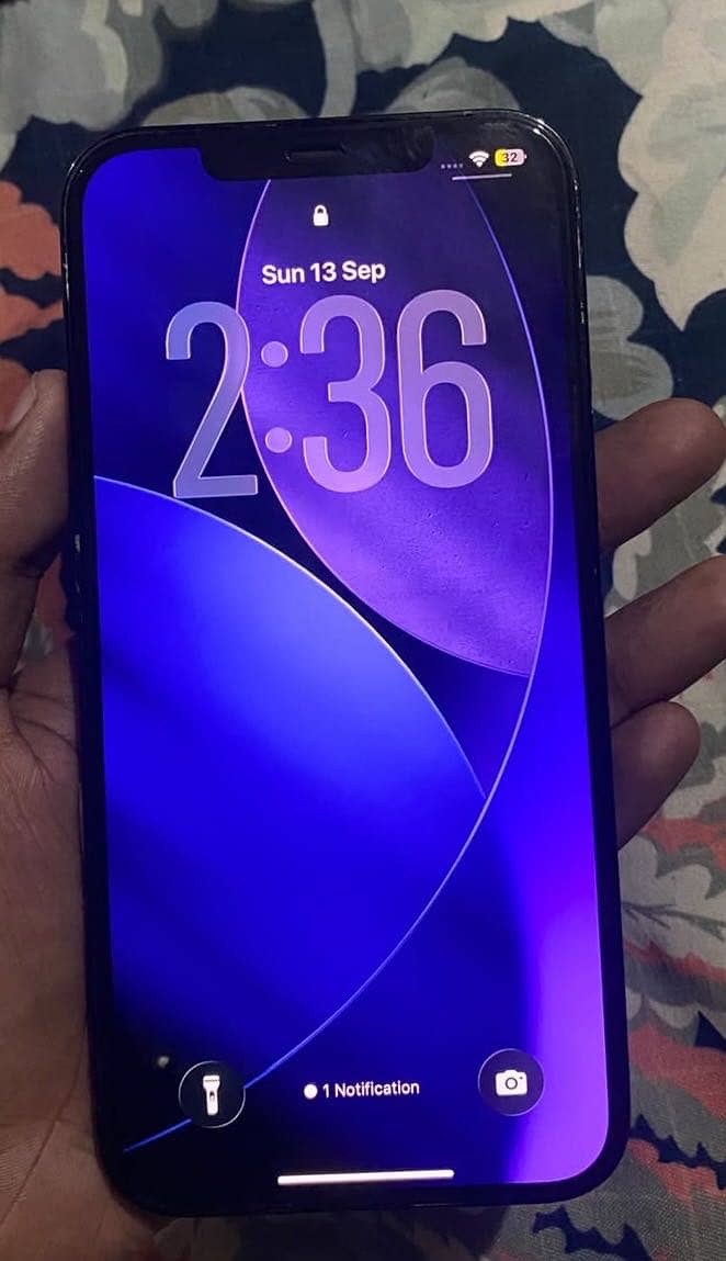 Apple iPhone 12 Pro Max 2