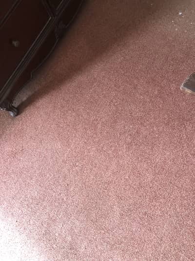 big size carpet 12*15 size very neat