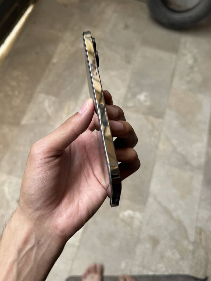 Apple iPhone 12 Pro Max 1