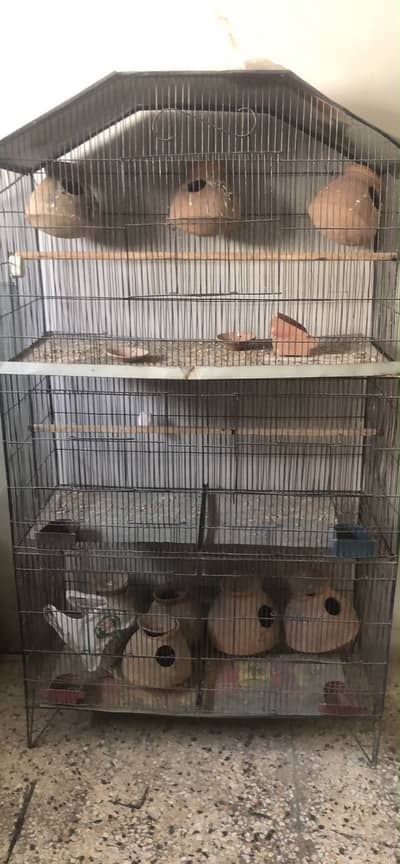 6 feet 3 portion cage