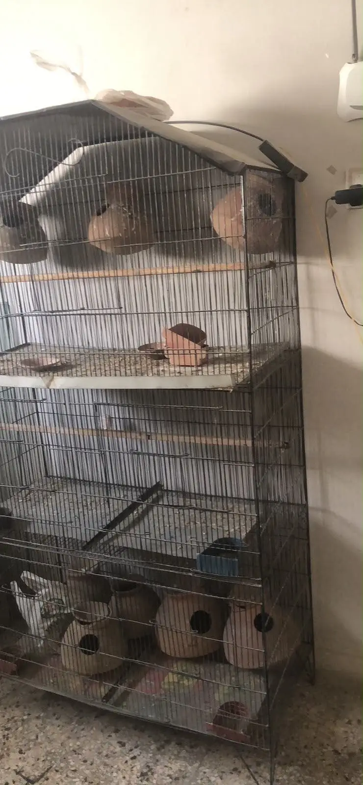 6 feet 3 portion cage — photo 2