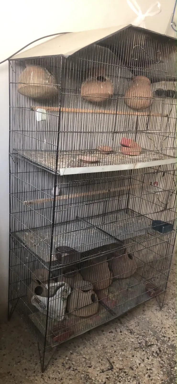 6 feet 3 portion cage — photo 3