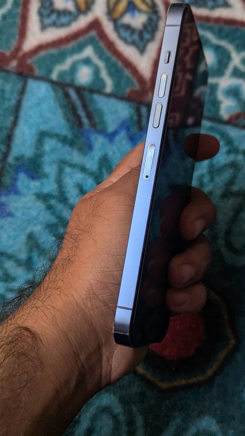 Apple iPhone 13 Pro Max 1