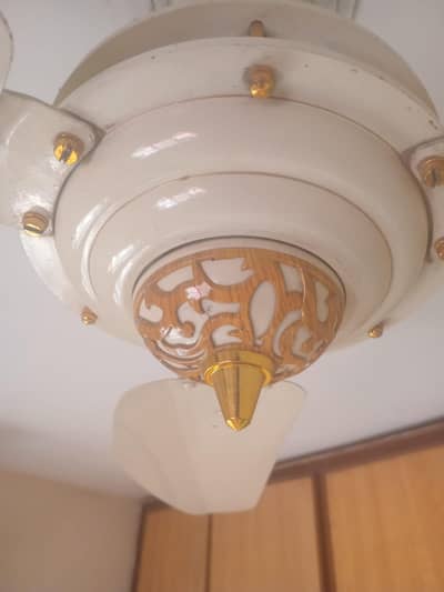 Ceiling Fan Branded