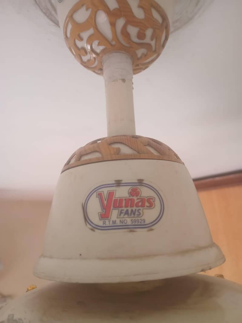 Ceiling Fan Branded 1