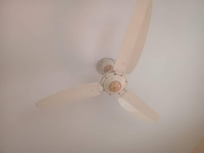 Ceiling Fan Branded 2