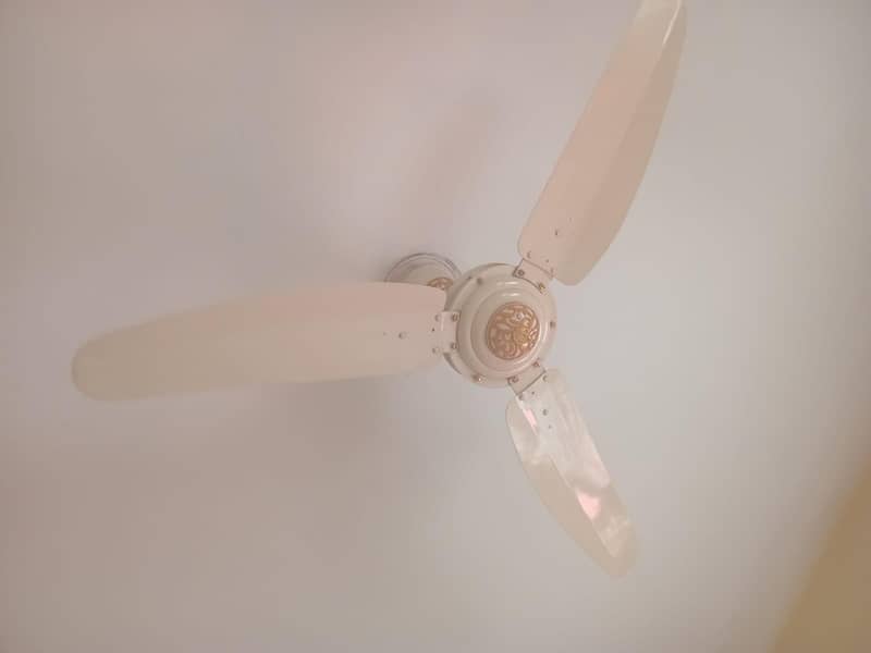 Ceiling Fan Branded 3