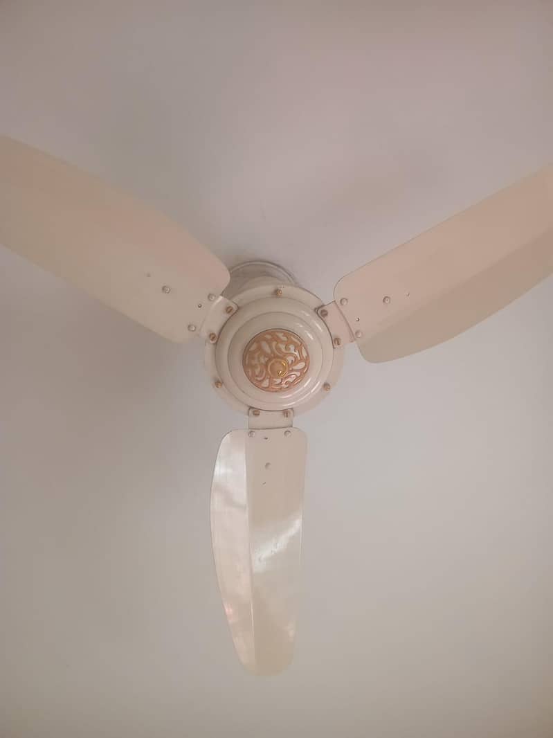 Ceiling Fan Branded 4