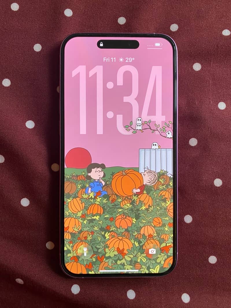 Apple iPhone 16 Plus 1