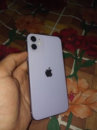 Apple iPhone 11