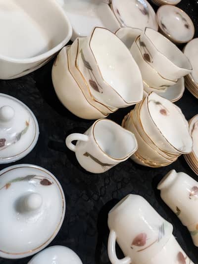 Cheeni Pather 72 pieces Dinner set