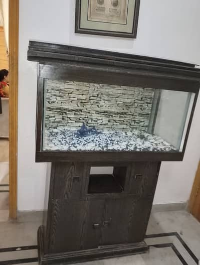 3ft aquarium