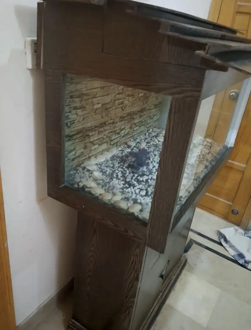 3ft aquarium — photo 2