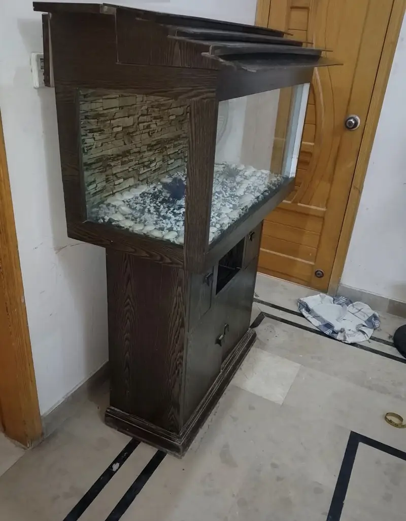 3ft aquarium — photo 3