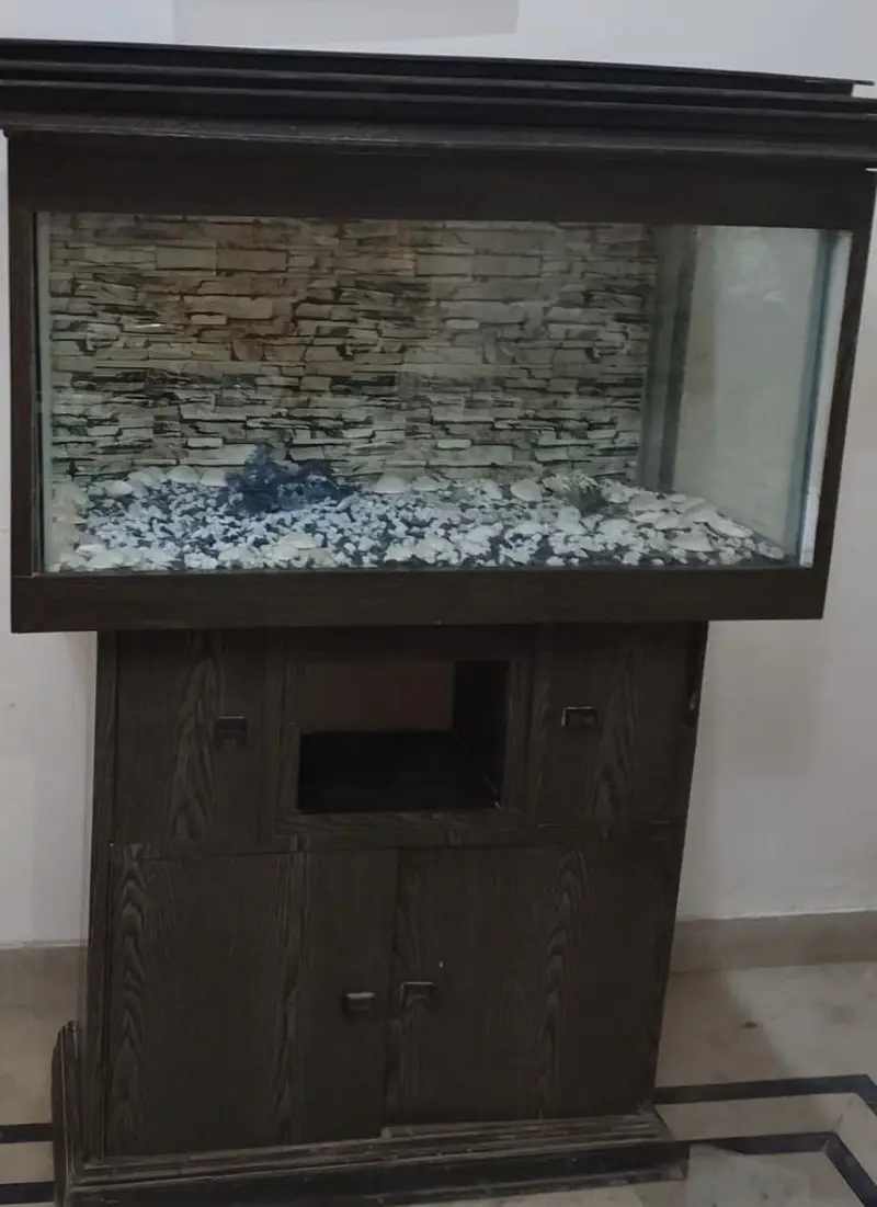 3ft aquarium — photo 4