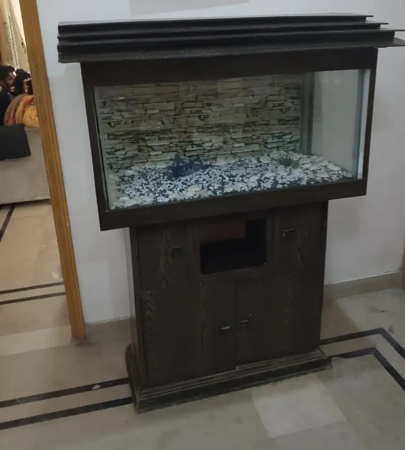 3ft aquarium — photo 5