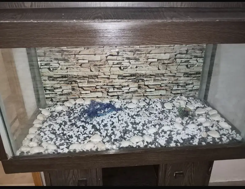 3ft aquarium — photo 7