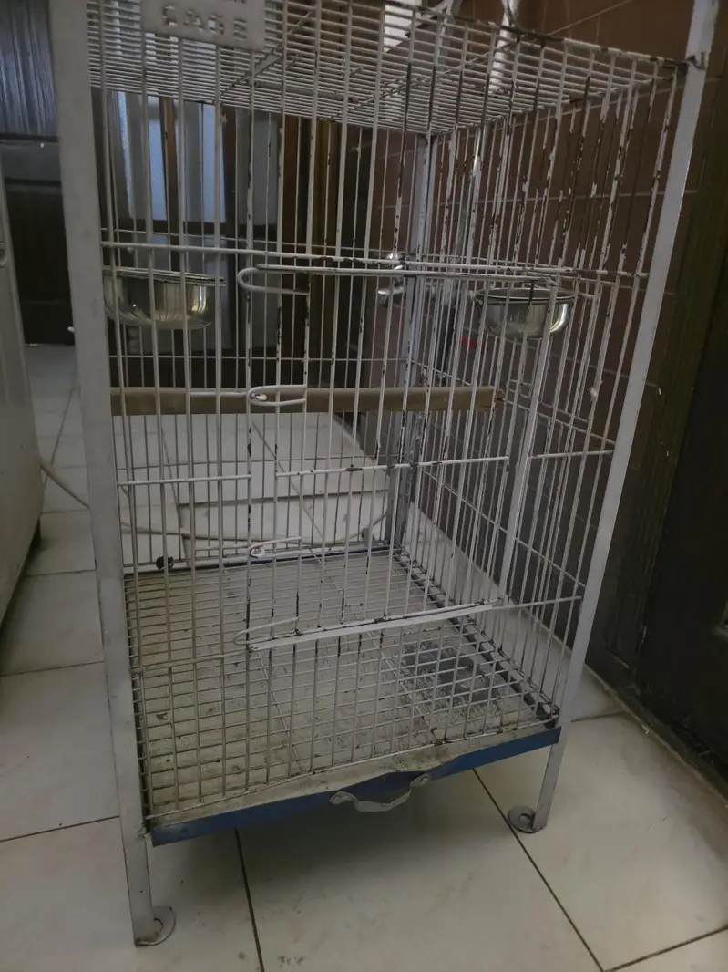 parrot cage — photo 3