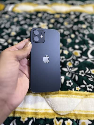 Apple iPhone 12 Water Pack