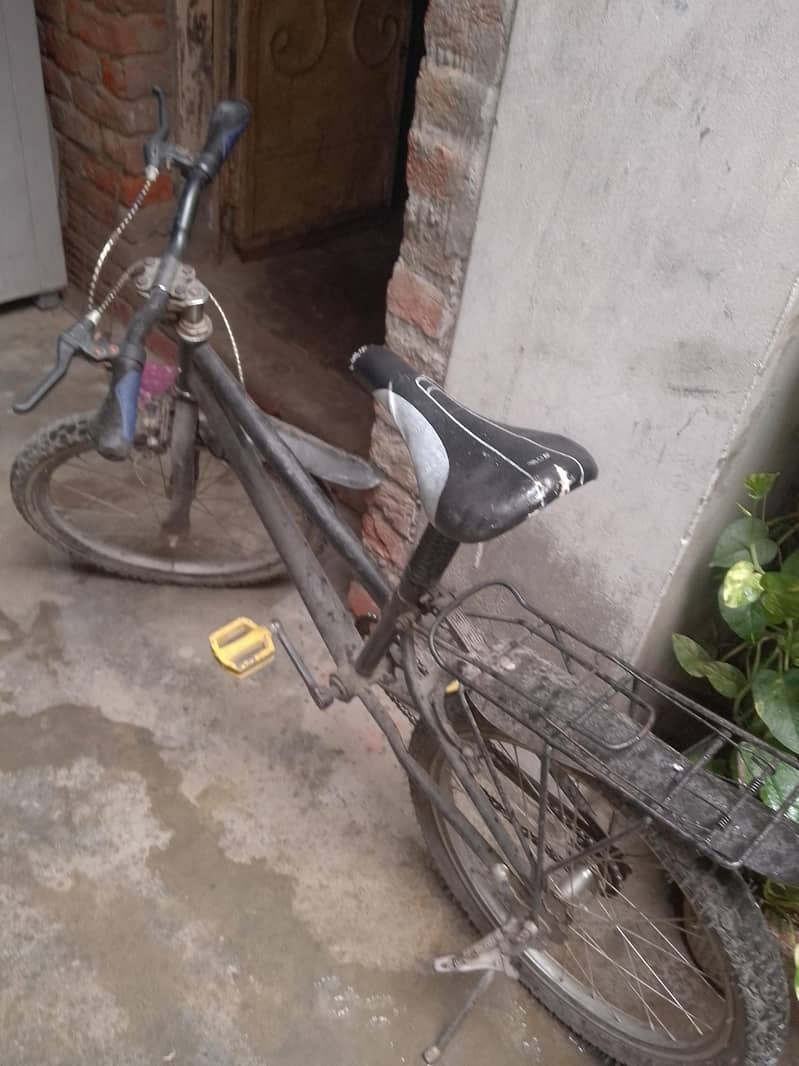 Bicycle 3