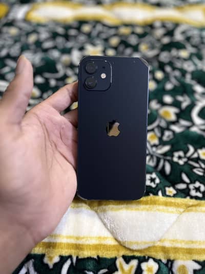 Apple iPhone 12 Water Pack