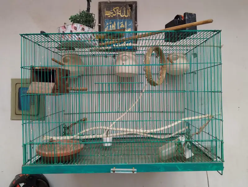 Irene cage 10by 10 condition — photo 3