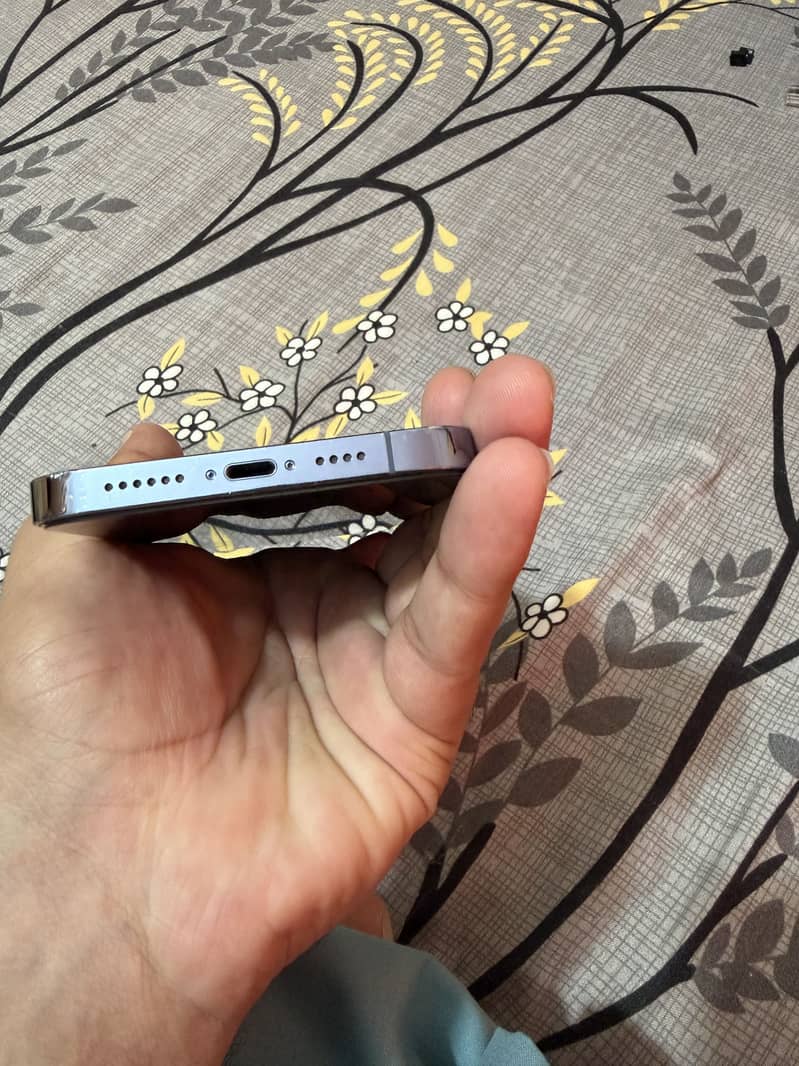 Apple iPhone 13 Pro Max 1