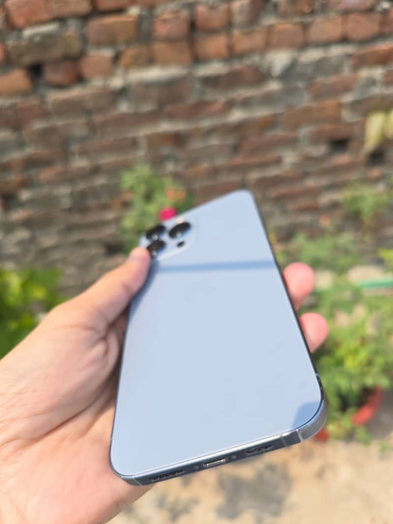 iPhone 13 Pro max 1