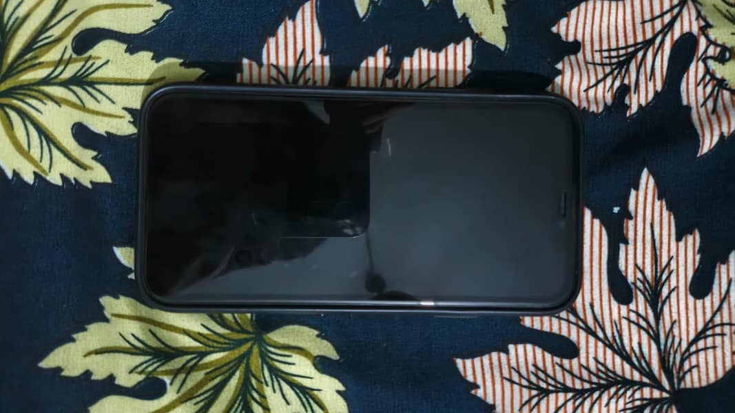 Apple iPhone 11 0