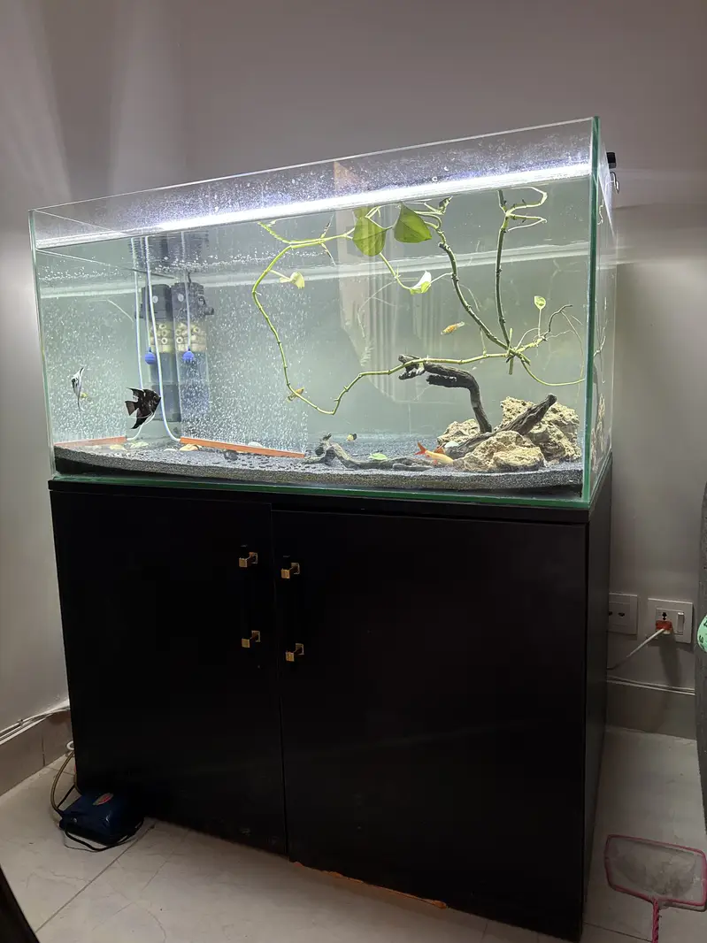 Aquarium for sale
