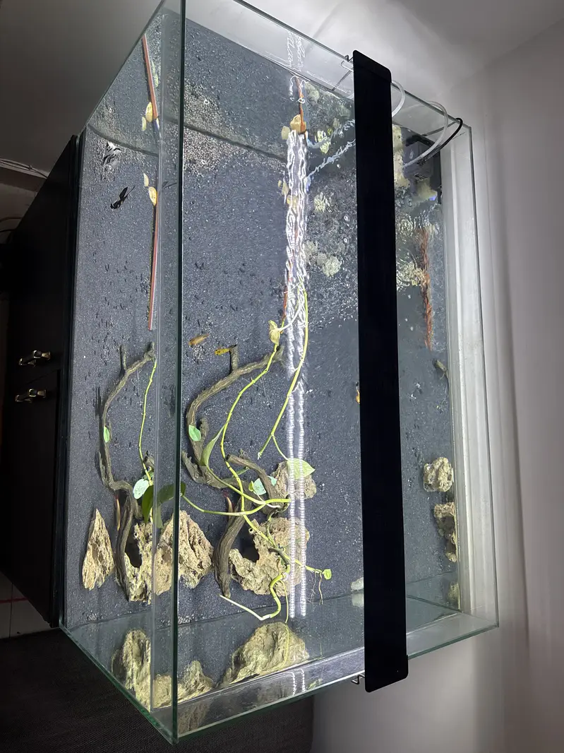 Aquarium for sale — photo 2
