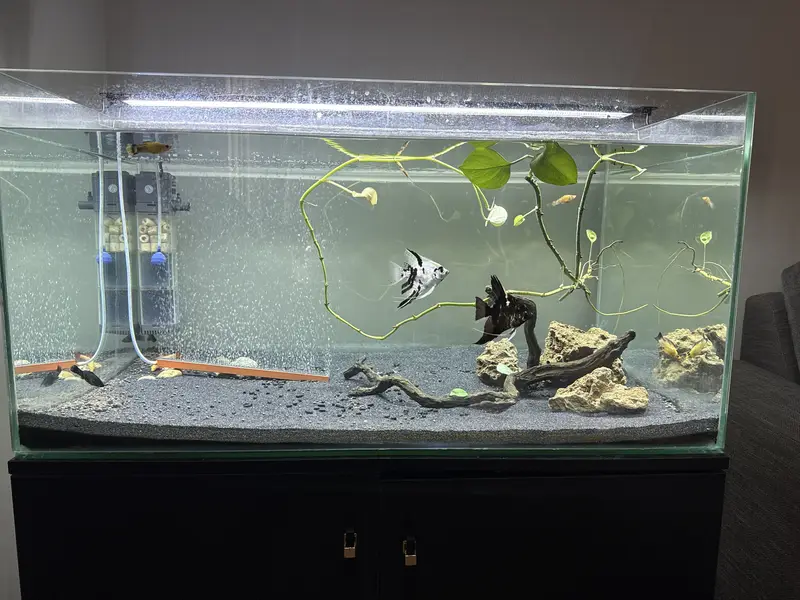 Aquarium for sale — photo 3