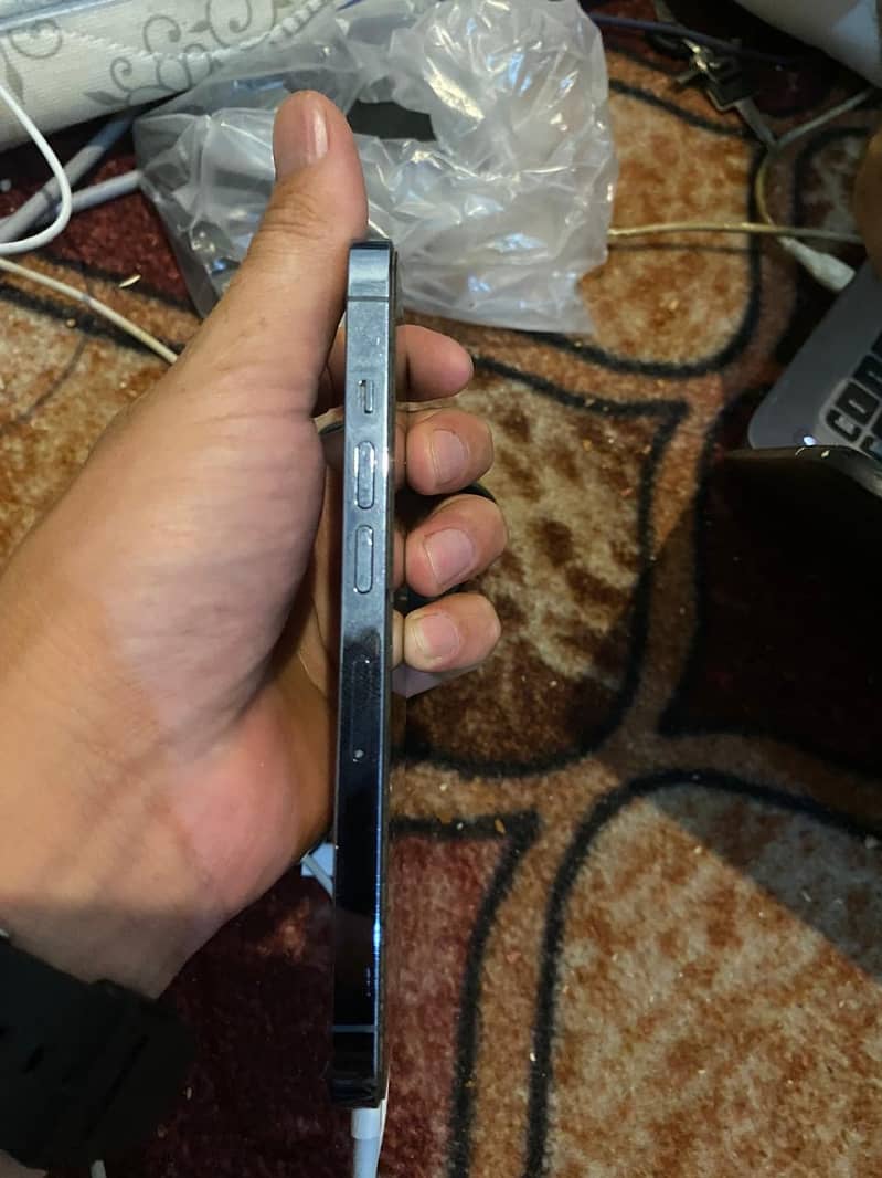 Apple iPhone 13 0